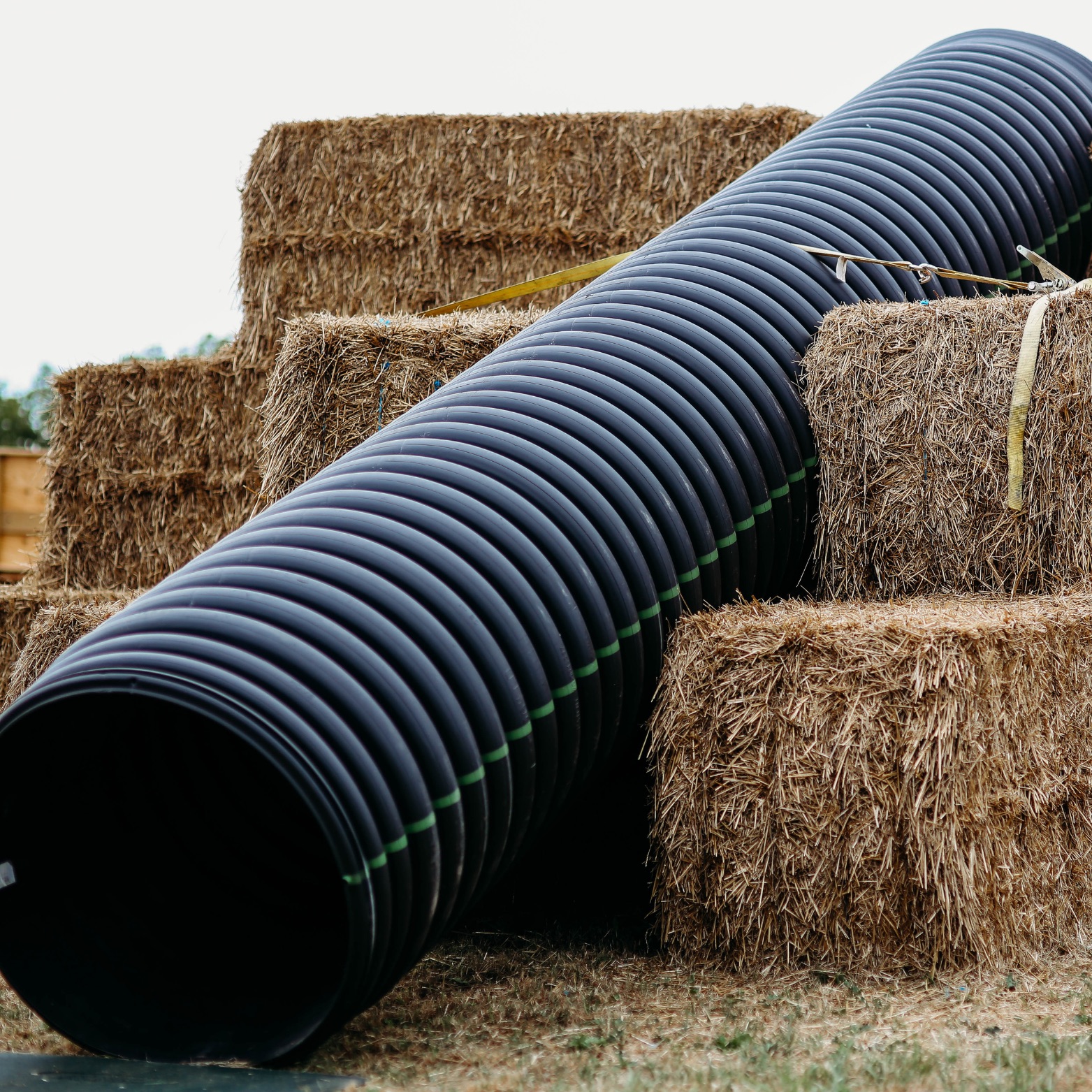 Hay Slide at the Endless View Farms Tulip Festival