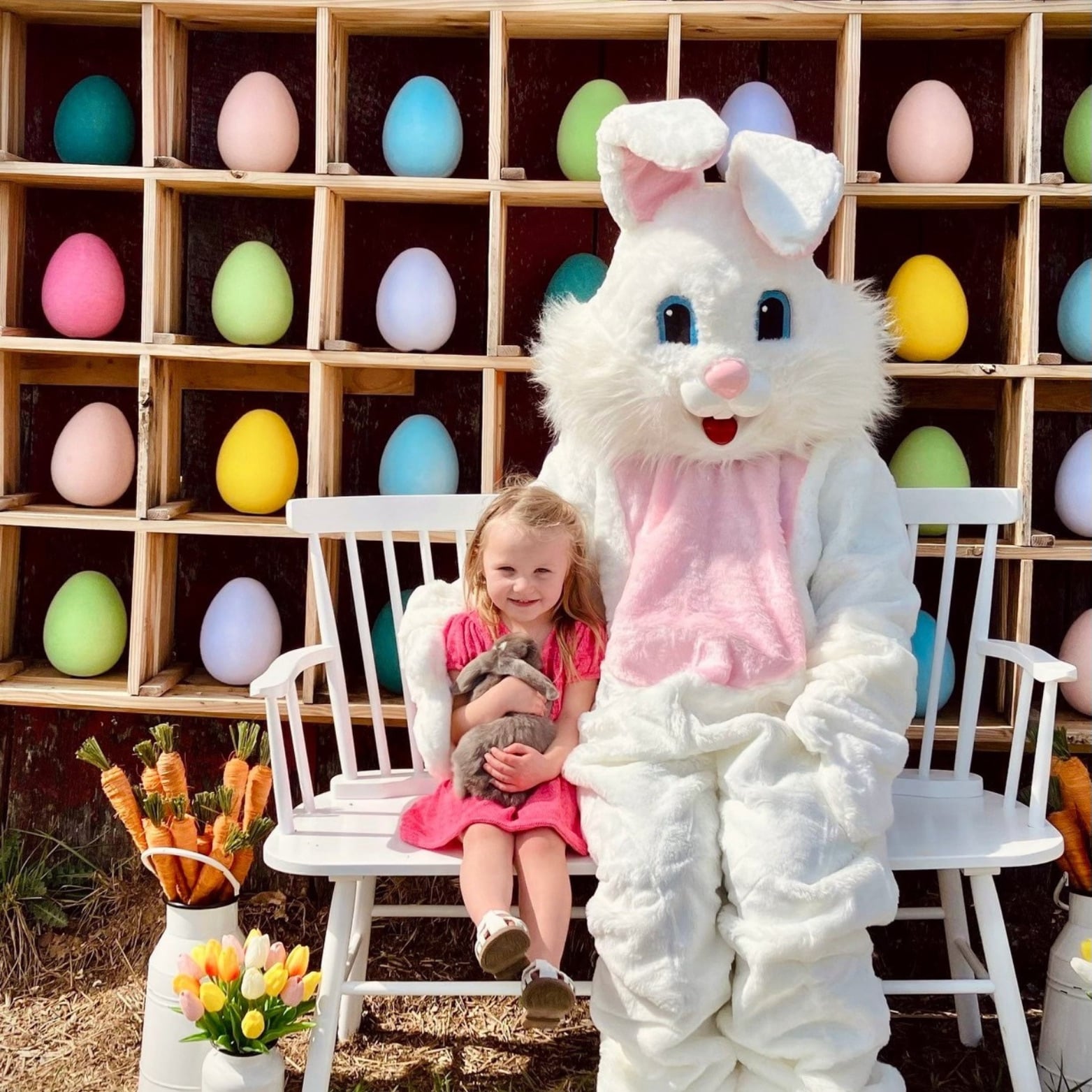 Photo Ops at the Endless View Farms Tulip Festival
