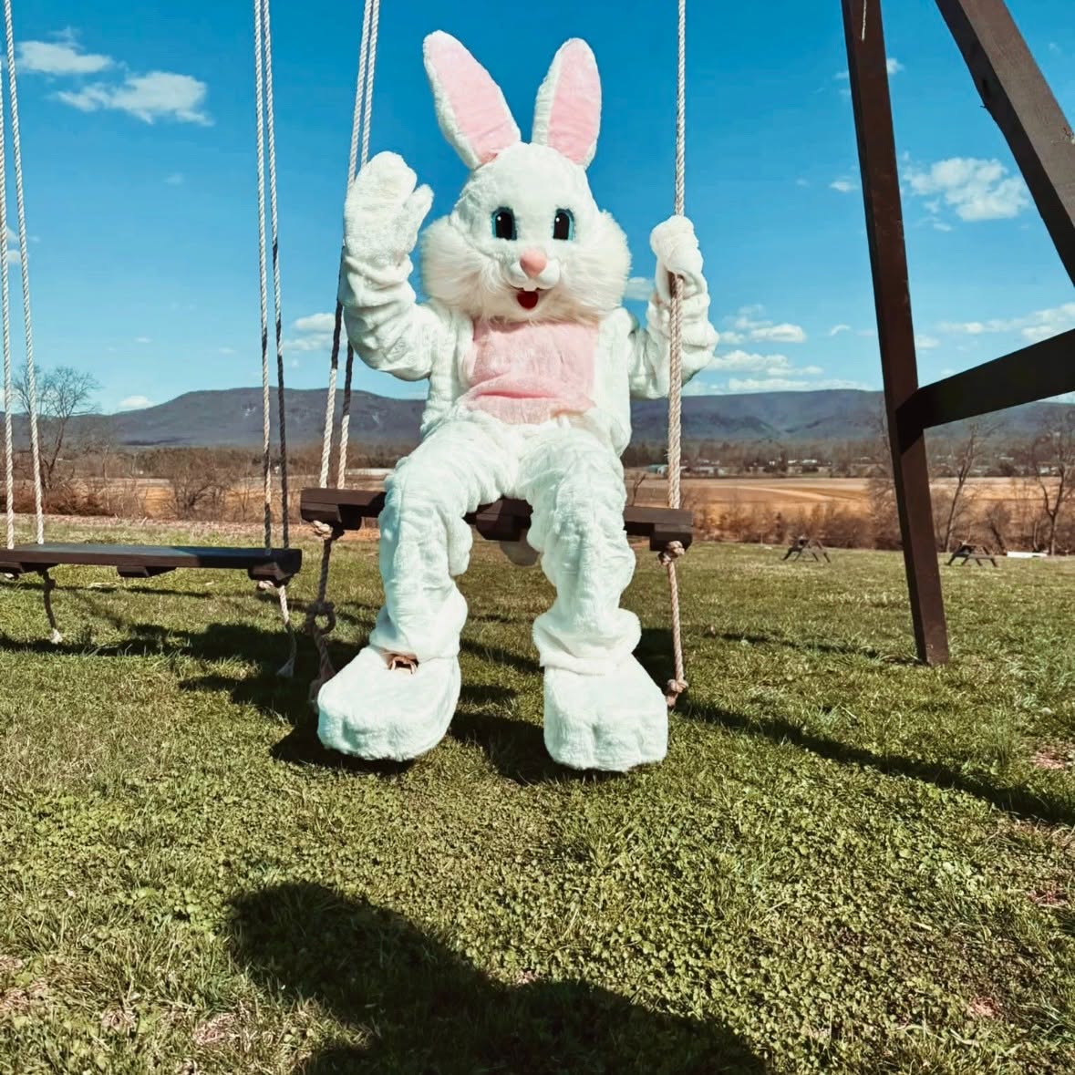 The Easter Bunny in the field at Endless View Farms, Crimora Virginia