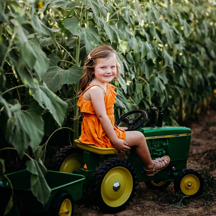 Girl on a toy tractor in the sunflowers at Endless View Farms
