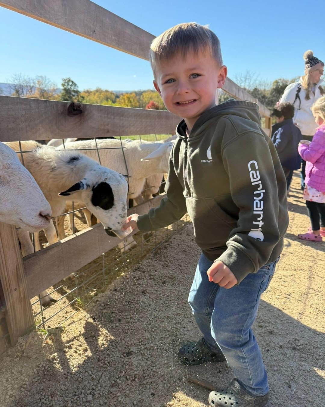 Petting zoo at Endless View Farms in Crimora, Virginia