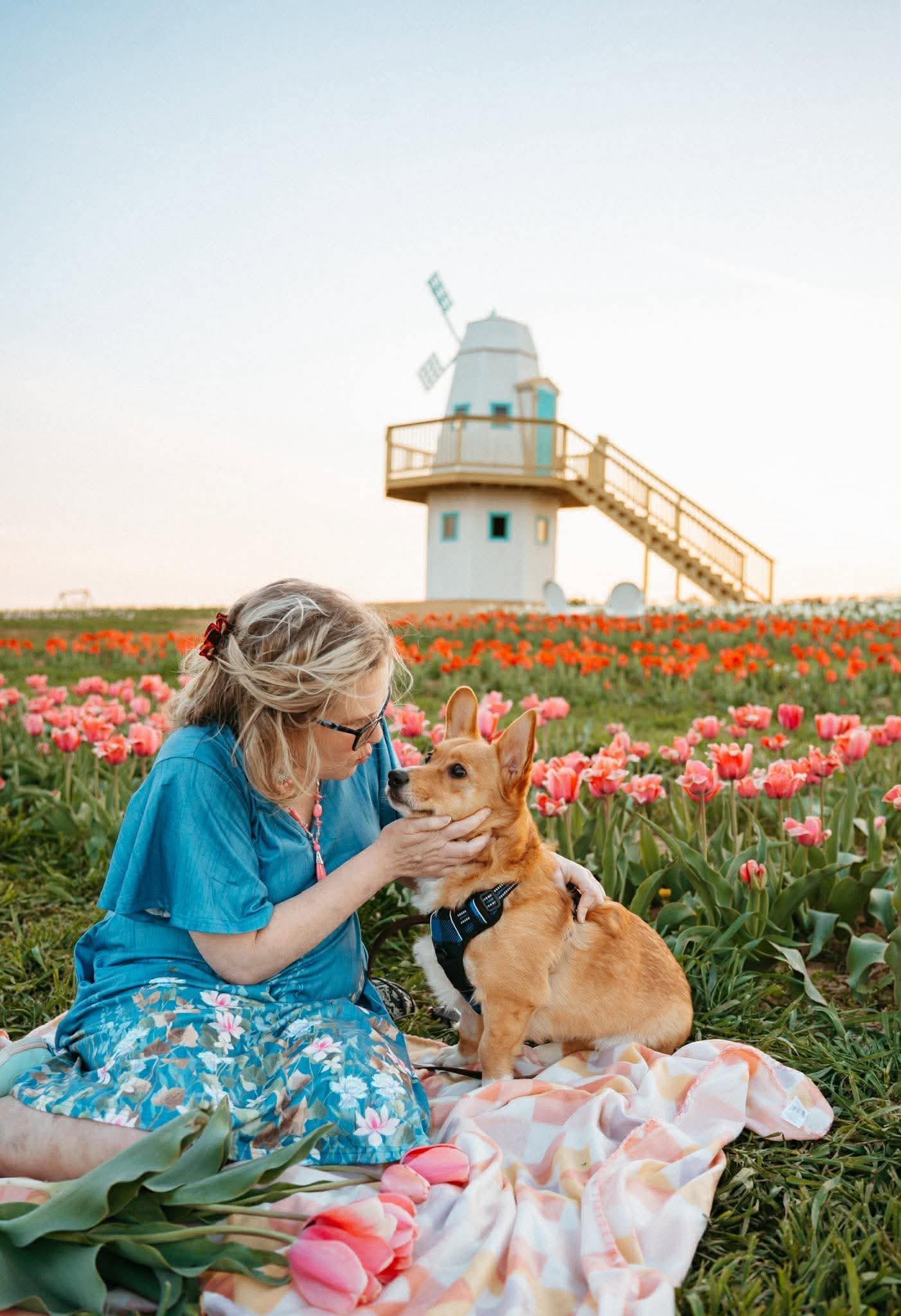 Weekday tulip picking in the fields at Endless View Farms, Crimora Virginia