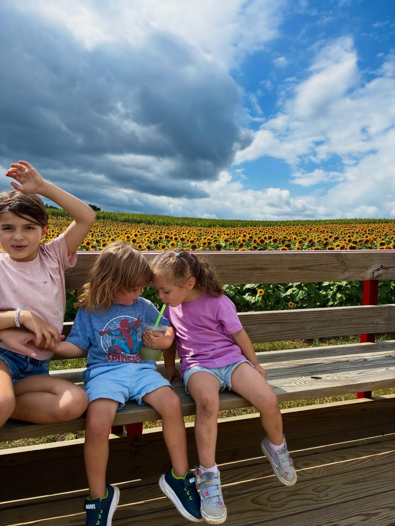 Hay wagon ride at Endless View Farms in the Shenandoah Valley