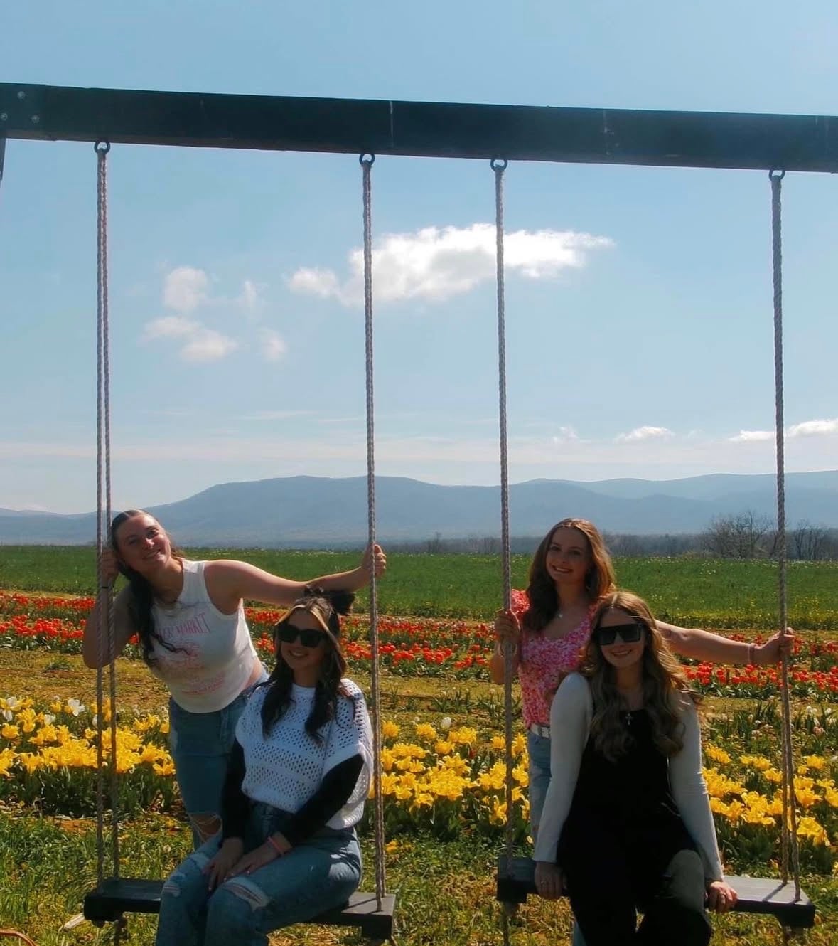 Swing among the tulip blooms in late season