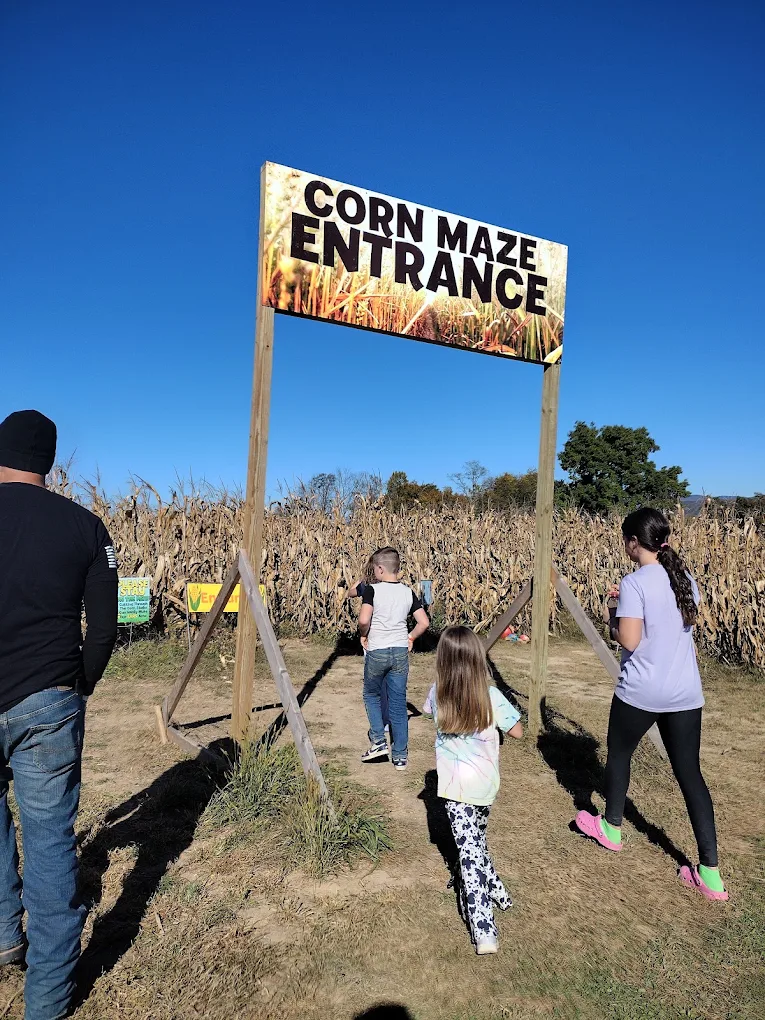 Five acre corn maze at Endless View Farms in Crimora, Virginia